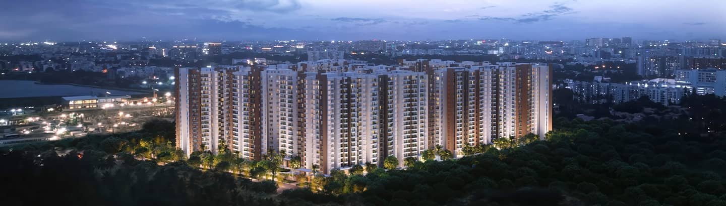 Prestige Evergreen — view 7